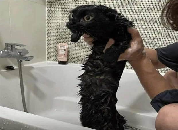 Klyker Picdump #1861 (41 photos)