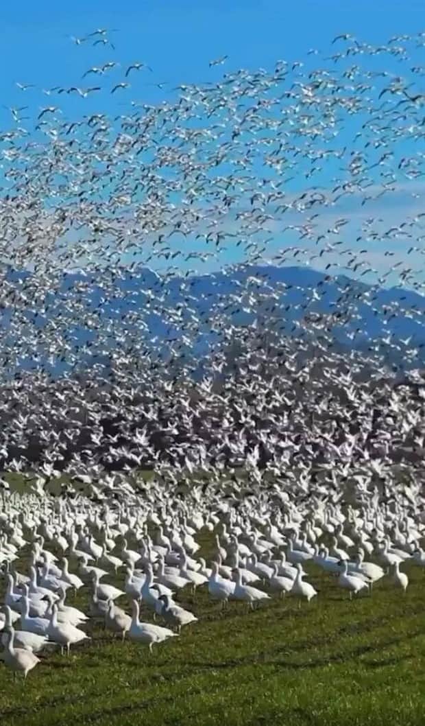 klyker picdump 11 25 2025 12 Klyker Picdump #1862 (42 photos)