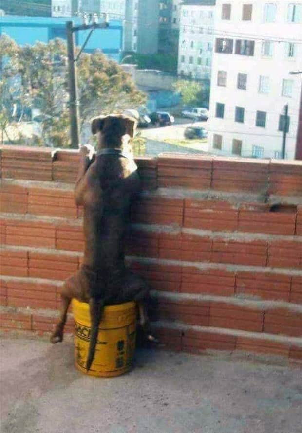 klyker picdump 11 25 2025 26 Klyker Picdump #1862 (42 photos)