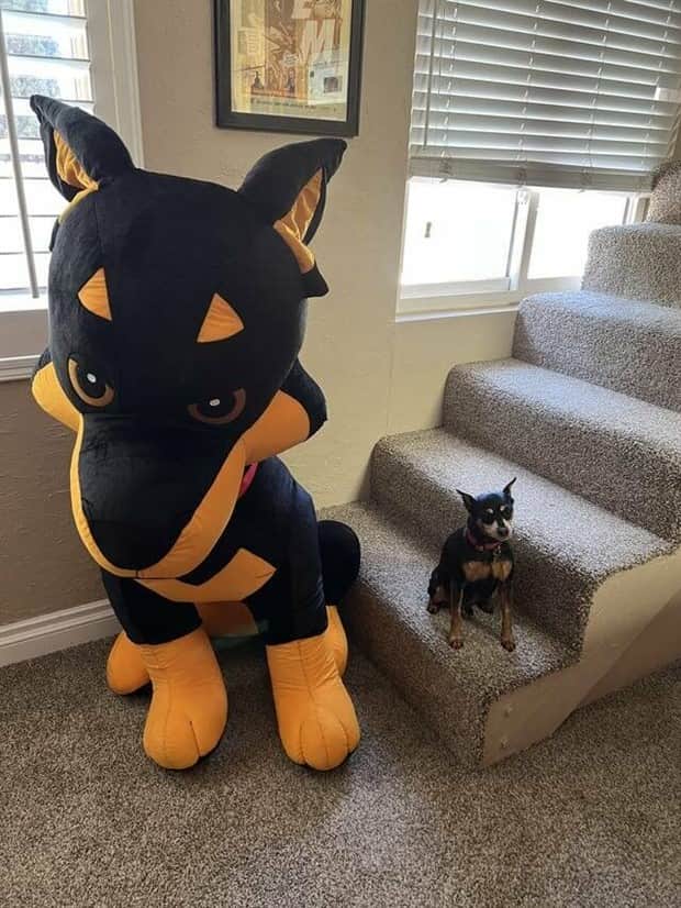 klyker picdump 11 25 2025 35 Klyker Picdump #1862 (42 photos)