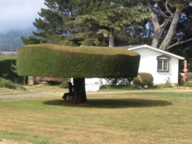 Klyker Picdump #1863 (43 photos)