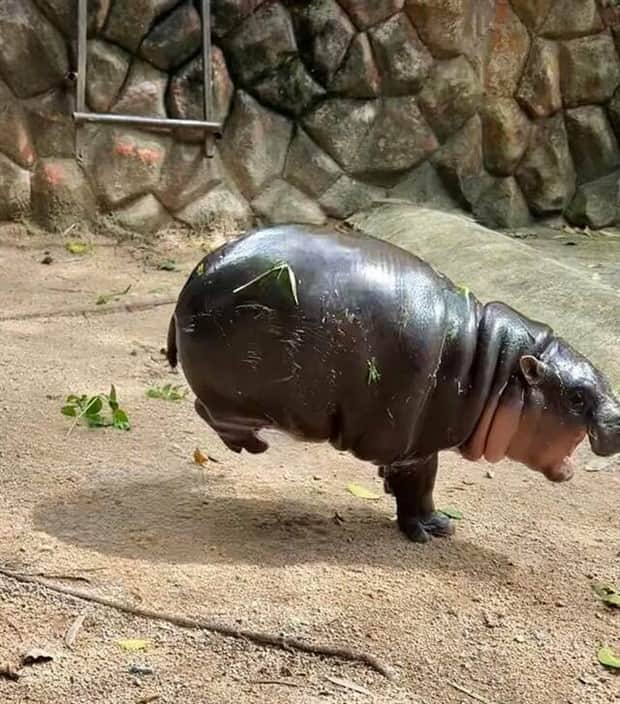 Klyker Picdump #1863 (43 photos)