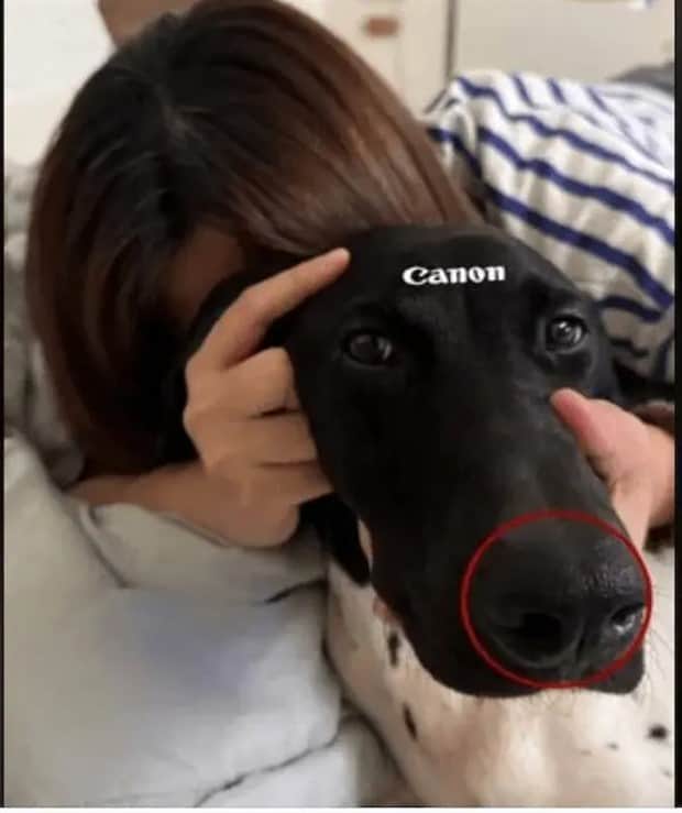 Klyker Picdump #1864 (44 photos)