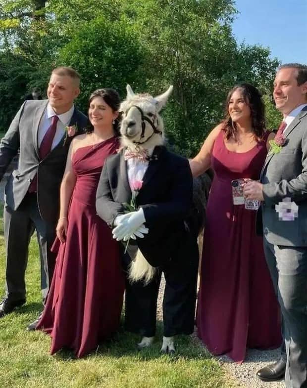 Klyker Picdump #1864 (44 photos)