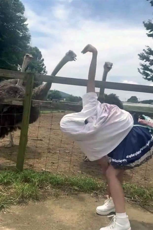 Klyker Picdump #1864 (44 photos)