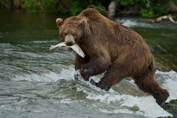 Klyker Picdump #1865 (45 photos)