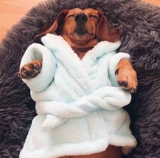 Klyker Picdump #1865 (45 photos)