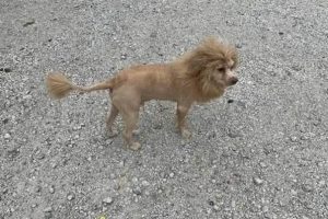 Klyker Picdump #1865 (45 photos)