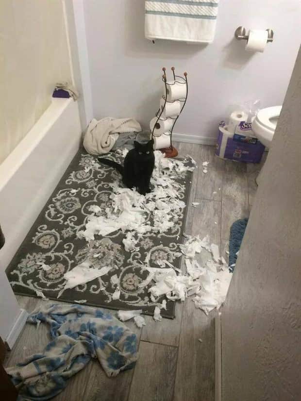 Klyker Picdump #1865 (45 photos)