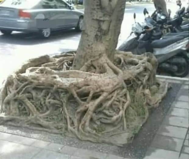 klyker picdump 11 3 2025 12 Klyker Picdump #1846 (41 photos)