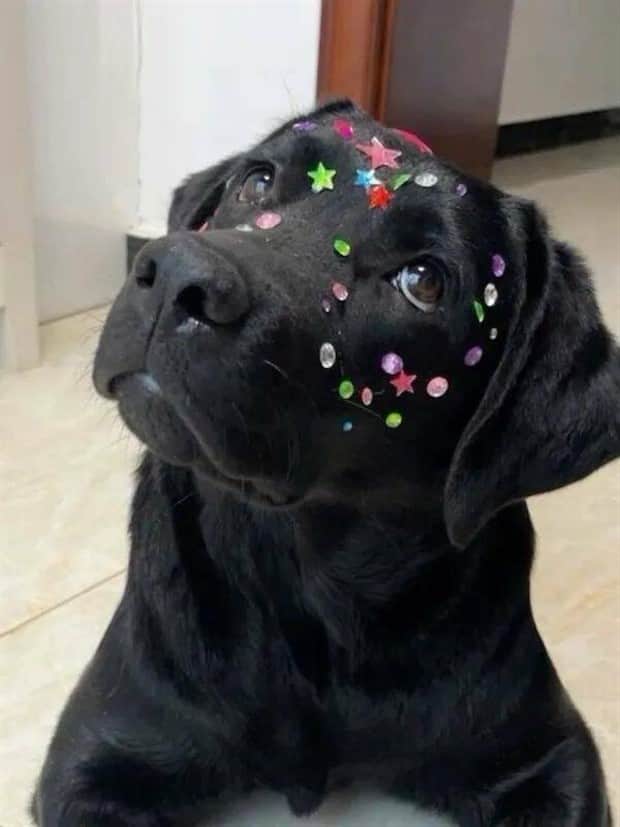 klyker picdump 11 3 2025 26 Klyker Picdump #1846 (41 photos)