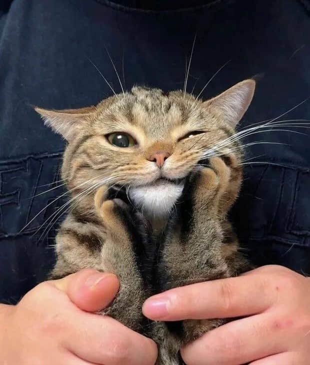 klyker picdump 11 3 2025 30 Klyker Picdump #1846 (41 photos)