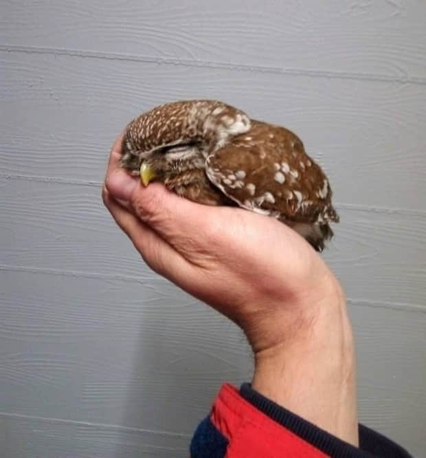 klyker picdump 11 4 2025 12 Klyker Picdump #1847 (42 photos)