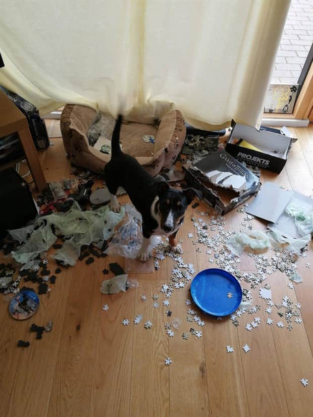 klyker picdump 11 4 2025 20 Klyker Picdump #1847 (42 photos)