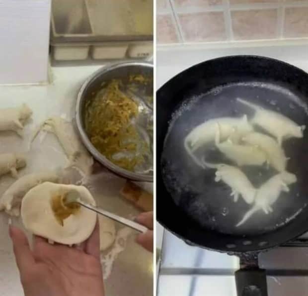 klyker picdump 11 4 2025 26 Klyker Picdump #1847 (42 photos)