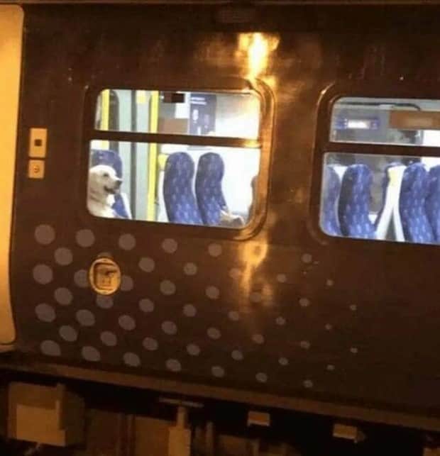 klyker picdump 11 4 2025 27 Klyker Picdump #1847 (42 photos)