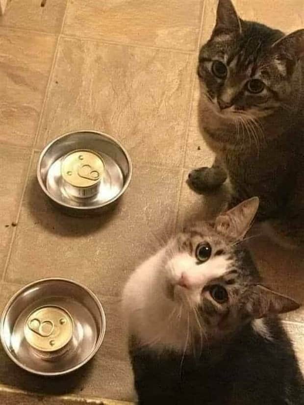 klyker picdump 11 4 2025 34 Klyker Picdump #1847 (42 photos)