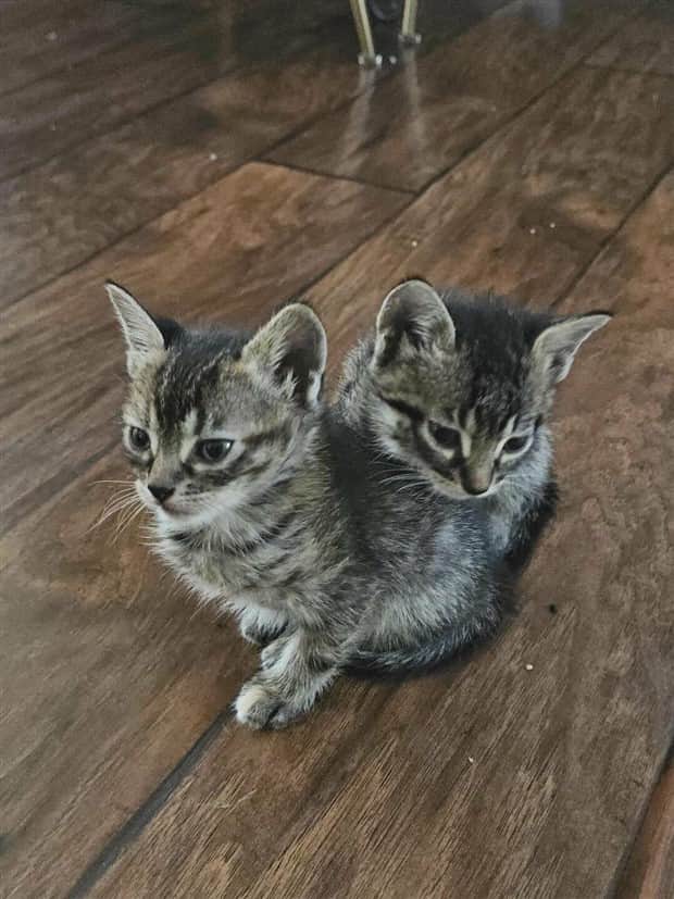 klyker picdump 11 4 2025 39 Klyker Picdump #1847 (42 photos)