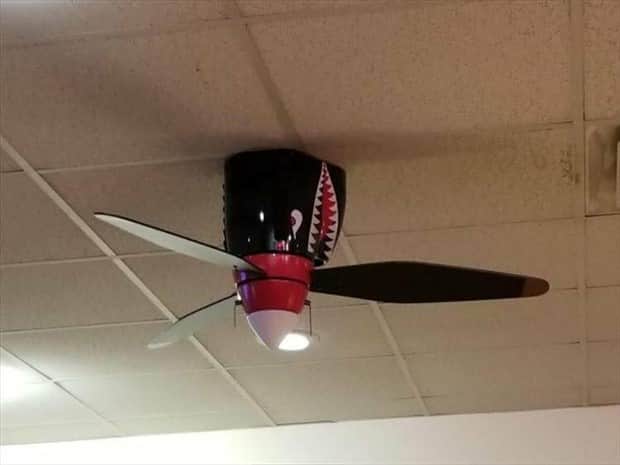 klyker picdump 11 4 2025 42 Klyker Picdump #1847 (42 photos)