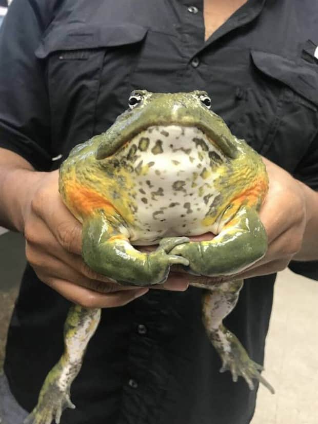 klyker picdump 11 5 2025 29 Klyker Picdump #1848 (43 photos)