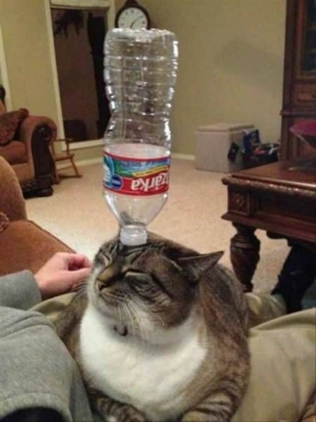 klyker picdump 11 5 2025 35 Klyker Picdump #1848 (43 photos)