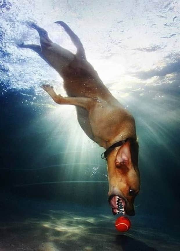 klyker picdump 11 5 2025 4 Klyker Picdump #1848 (43 photos)