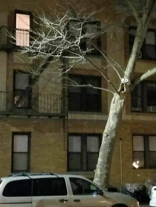 klyker picdump 11 6 2025 11 Klyker Picdump #1849 (44 photos)