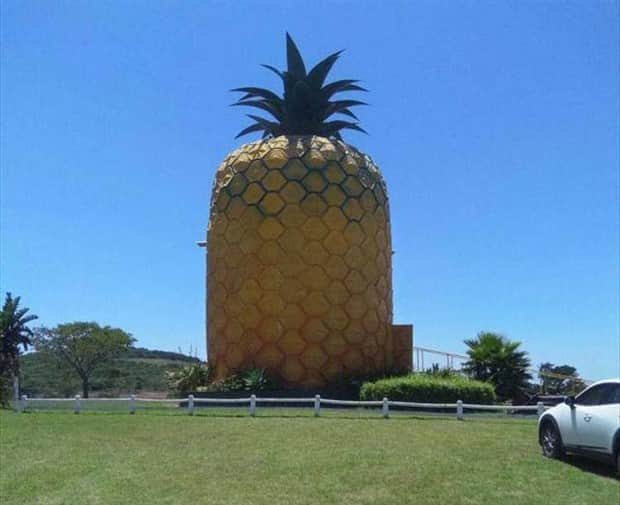 klyker picdump 11 6 2025 13 Klyker Picdump #1849 (44 photos)