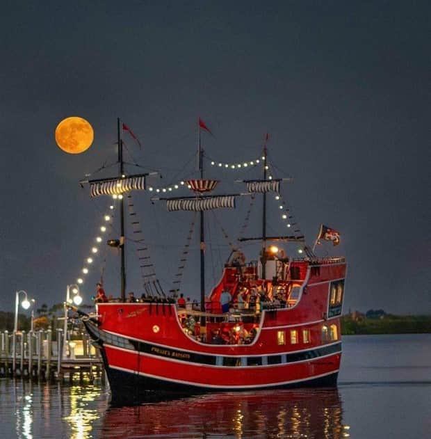 klyker picdump 11 6 2025 37 Klyker Picdump #1849 (44 photos)