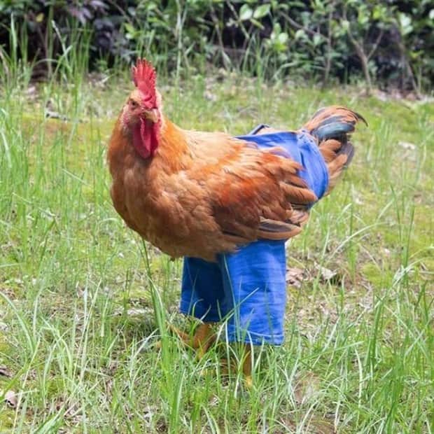 klyker picdump 11 6 2025 38 Klyker Picdump #1849 (44 photos)