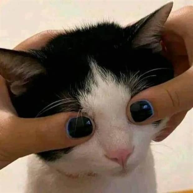 klyker picdump 11 6 2025 41 Klyker Picdump #1849 (44 photos)