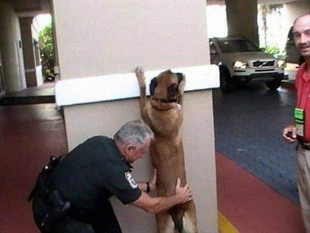 klyker picdump 11 6 2025 43 Klyker Picdump #1849 (44 photos)