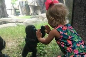 Klyker Picdump #1850 (45 photos)