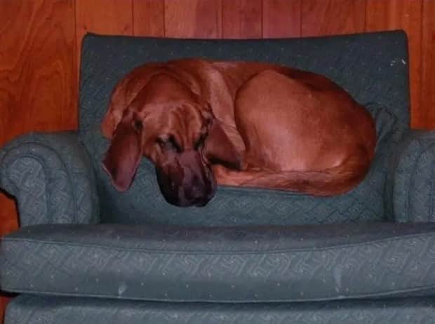 Look Twice, Trust Me #26 (21 photos)