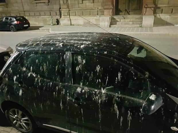 Shit Happens Regularly, Get Used To It #356 (20 photos)