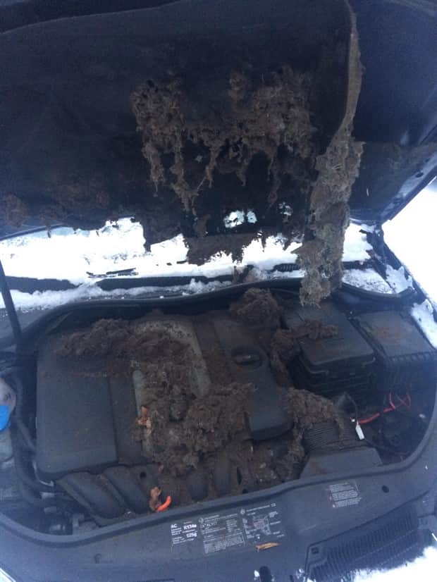 oh shit 10 1 Shit Happens Regularly, Get Used To It #354 (19 photos)