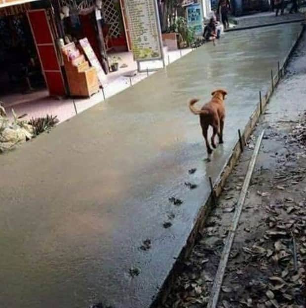 oh shit 17 1 Shit Happens Regularly, Get Used To It #354 (19 photos)