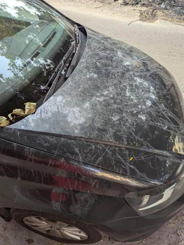 Shit Happens Regularly, Get Used To It #356 (20 photos)