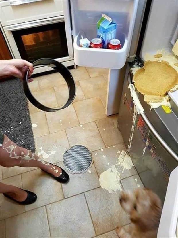 oh shit 4 2 Shit Happens Regularly, Get Used To It #355 (18 photos)