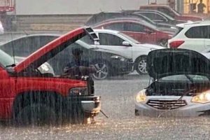 Shit Happens Regularly, Get Used To It #356 (20 photos)