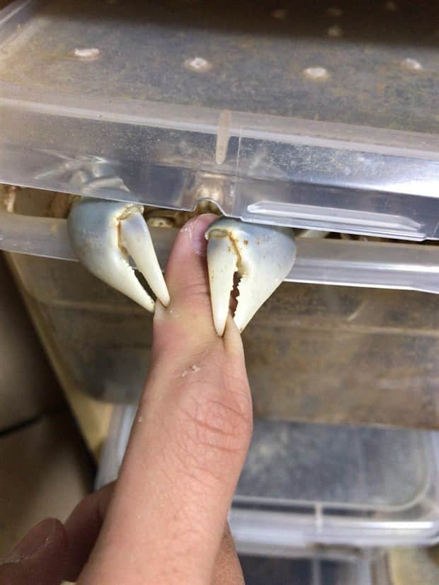 oh shit 7 1 Shit Happens Regularly, Get Used To It #354 (19 photos)