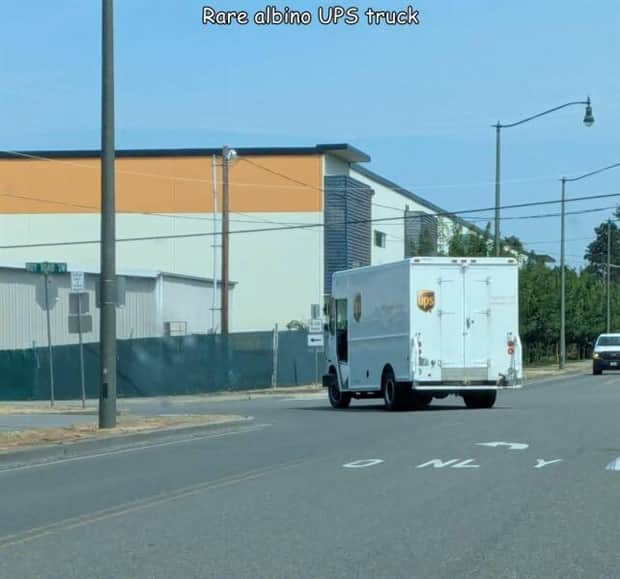 Interesting Pictures with Captions #180 (18 photos)