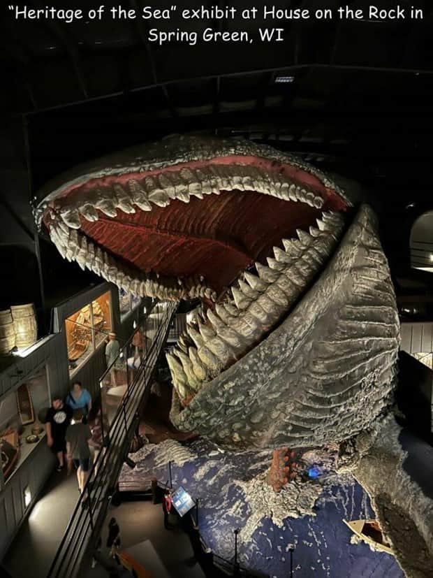 Interesting Pictures with Captions #180 (18 photos)