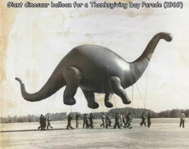 Interesting Pictures with Captions #182 (19 photos)