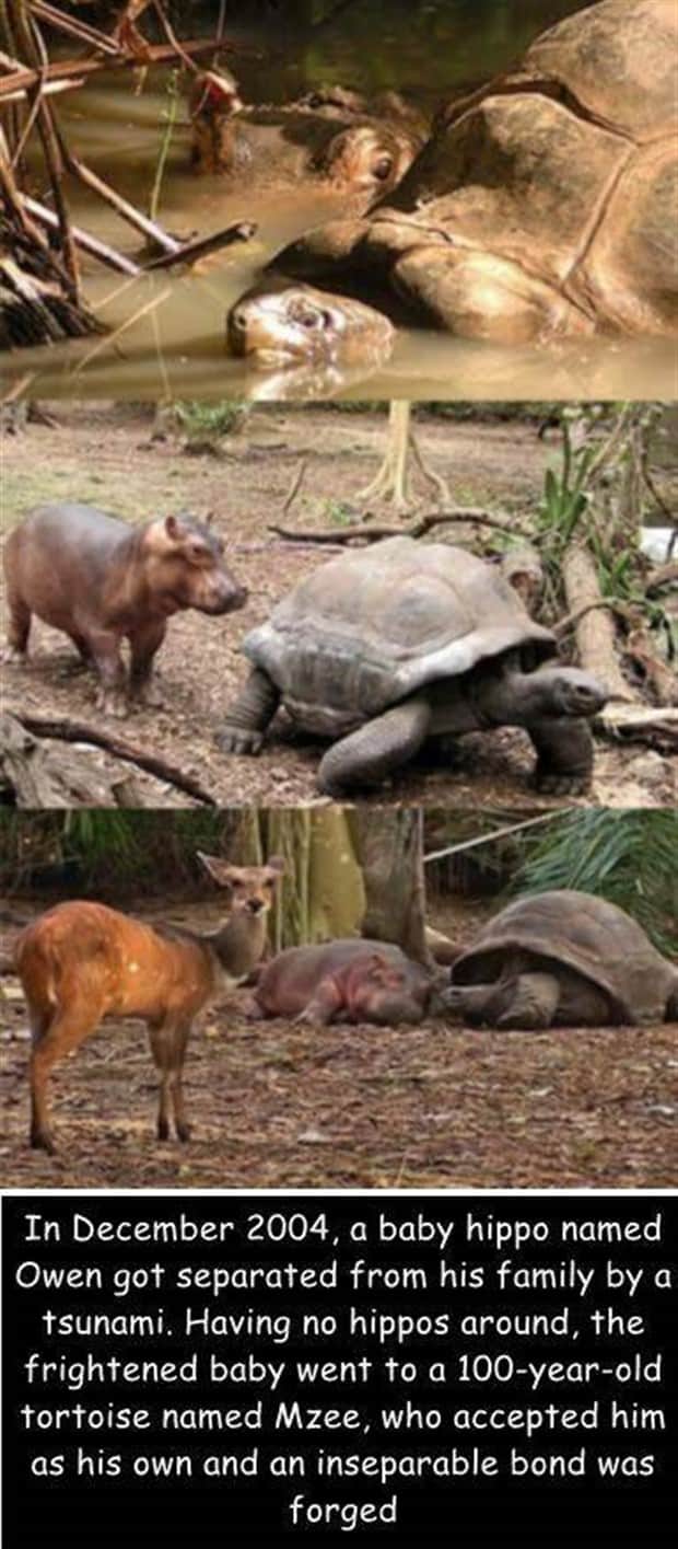 pictures with captions 16 Interesting Pictures with Captions #181 (17 photos)