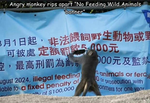 Interesting Pictures with Captions #182 (19 photos)