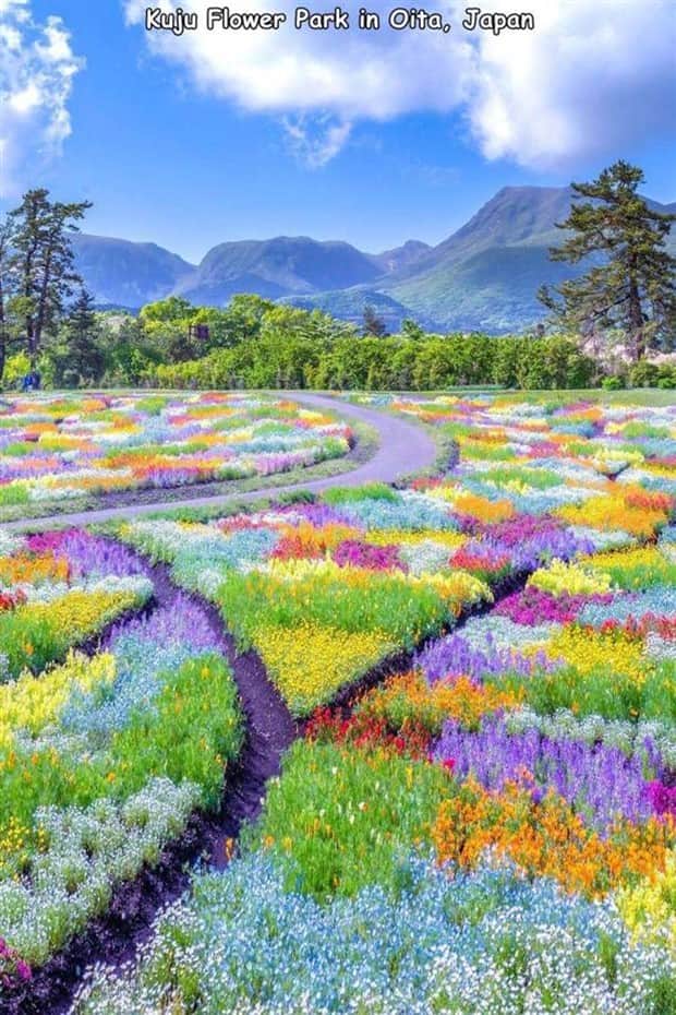 Interesting Pictures with Captions #182 (19 photos)