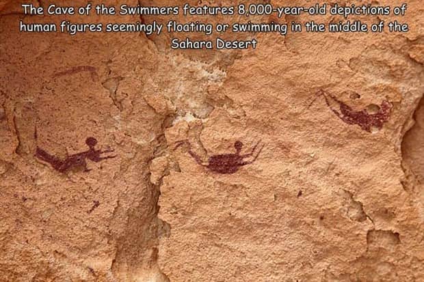 Interesting Pictures with Captions #183 (20 photos)