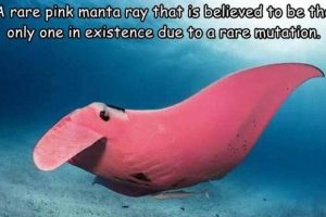 Interesting Pictures with Captions #182 (19 photos)