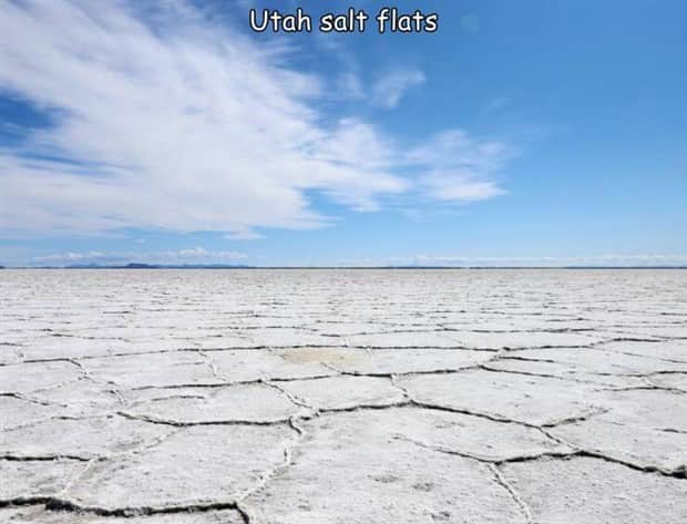 pictures with captions 4 Interesting Pictures with Captions #181 (17 photos)